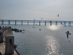 -黑石礁公园