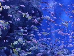 -成都浩海立方海洋公园