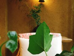 -看见远方·莫干遥远的山民宿