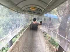 -牛鱼嘴原始生态风景区-停车场