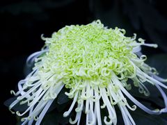 -共青国家森林公园-售票处