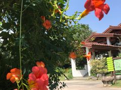-中国茶叶博物馆(双峰馆区)