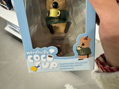 -line friends(明洞旗舰店)