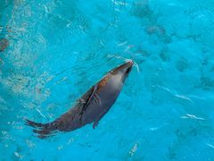 -南戴河国际娱乐中心