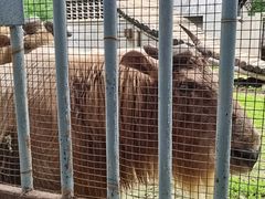 -北京动物园-畅观楼