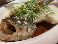 -金騰閣·经典粤菜(汾江中路店)