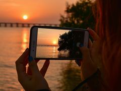 -宝安西湾红树林湿地公园