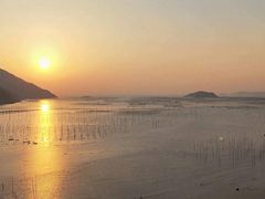-北岐滩涂
