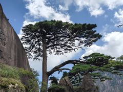 -黄山光明顶山庄