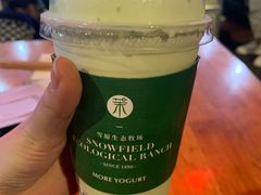 -茉酸奶(春熙路店)