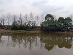 -南翔镇银翔湖公园