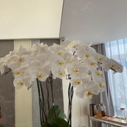 -Yestar宁波艺星整形医院