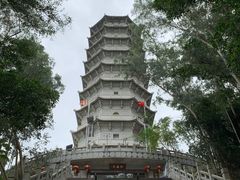 -深圳国际园林花卉博览园