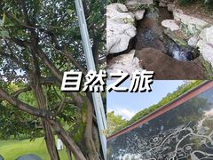 -龙头寺公园