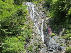 -凤凰山国家森林公园