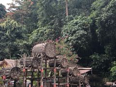 -西双版纳基诺山寨