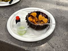 加拿大活体海胆-HIHE Bistro·Oyster Bar(华熙live店)