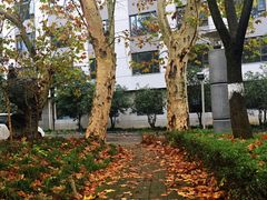 -南京国际会议大酒店