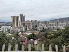 -福道