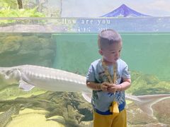 -江和美海洋公园