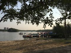 -蒲河岛湿地公园