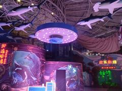 -烟台海昌鲸鲨海洋公园