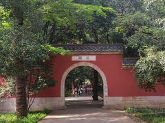 -灵谷景区