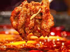 -山城棒棒军手作火锅·天花板手撕水牛鲜毛肚(北京店)