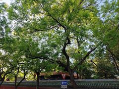 -北京国子监胡同