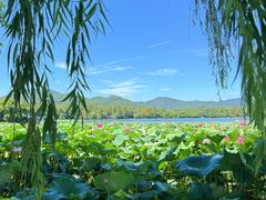 -楼外楼(西湖景区孤山路店)