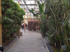-金稼园·金平湖农家菜