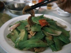-辉记虾塘海鲜农庄