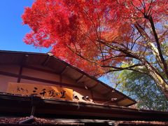 -三千院