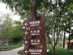 -阳台山自然风景区