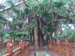 -沈阳龙润夏宫温泉水乐园