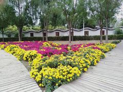 -盛世南宫影视城(北普陀影视城)