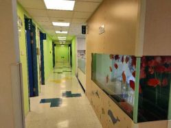 -杭州贝瑞斯美华妇儿医院·早孕·产检·儿科