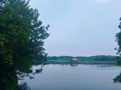 -溱湖国家湿地公园