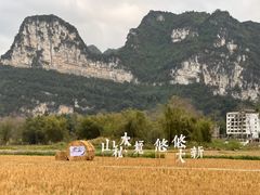 -明仕田园