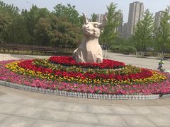 -永定河休闲森林公园