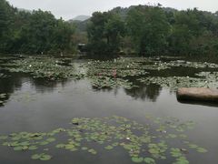 -白马涧龙池景区