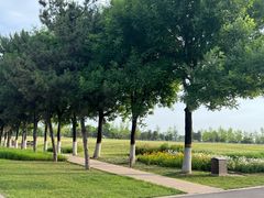 -汉长安城未央宫国家考古遗址公园