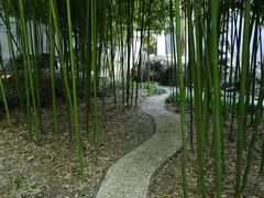 礼拜大殿北侧的竹林-松江清真寺