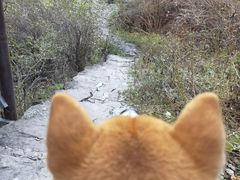 -双龙峡