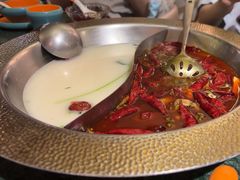 -麻田会 ·鲜活现烹·牛蛙火锅(珠江新城维家思广场店)