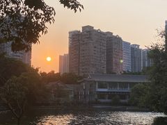 -荔湾湖公园