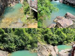 -广州白江湖森林公园