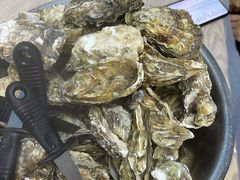 -爱蚝屋