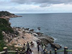 -广东惠东海龟国家级自然保护区