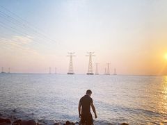 -宝安西湾红树林湿地公园